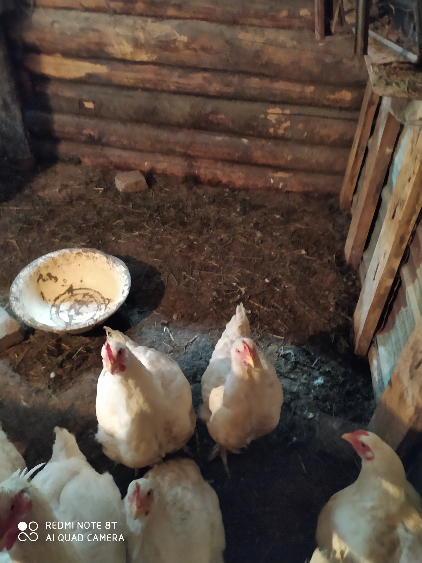 О работе мобильной бригады