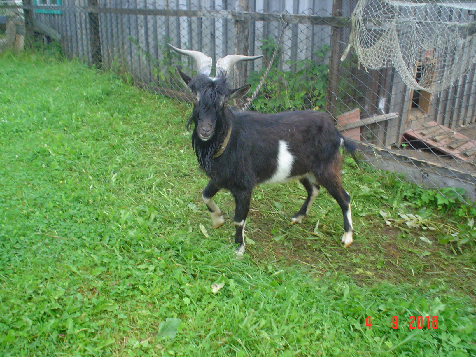 Малоимущим семьям и малоимущим одиноко проживающим гражданам поможет социальный контракт