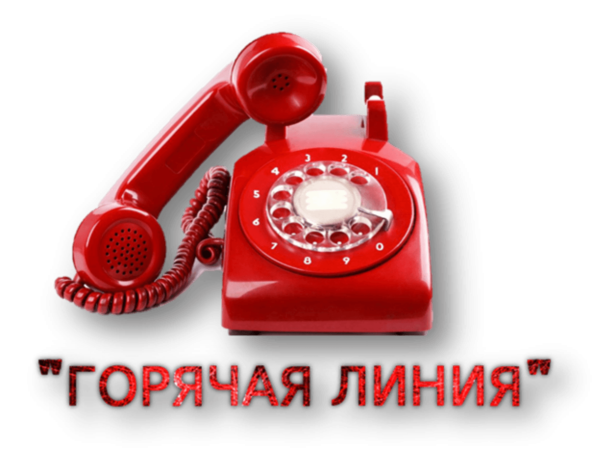 О телефоне горячей линии