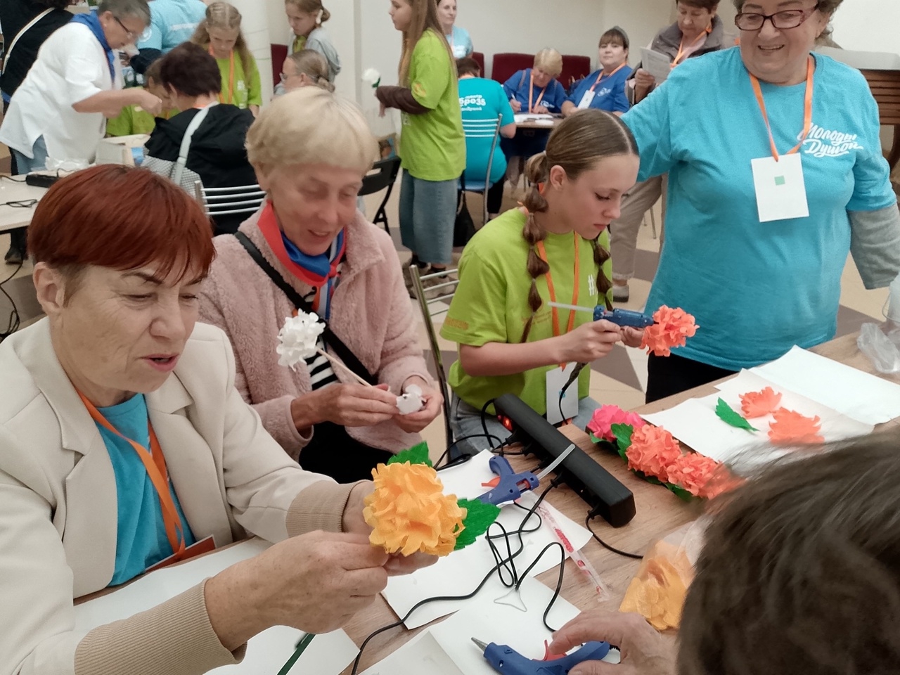 В селе Устье прошел региональный форум «Территория Добра и мудрости». На нем собралось более 160 «серебряных» волонтеров Вологодской области.