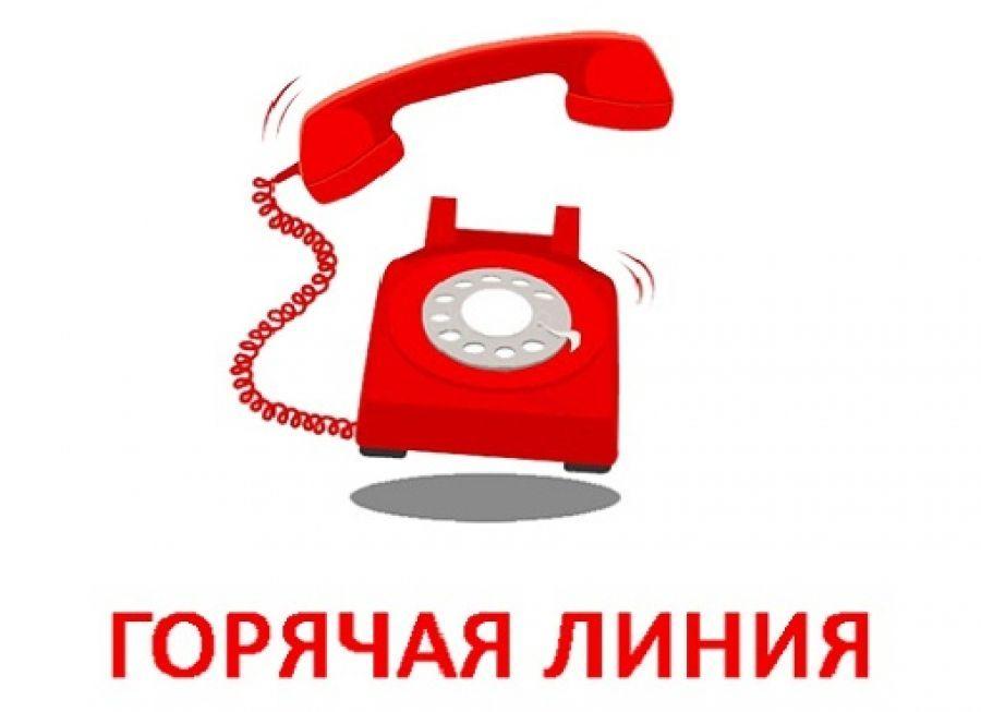 "Горячая линия"