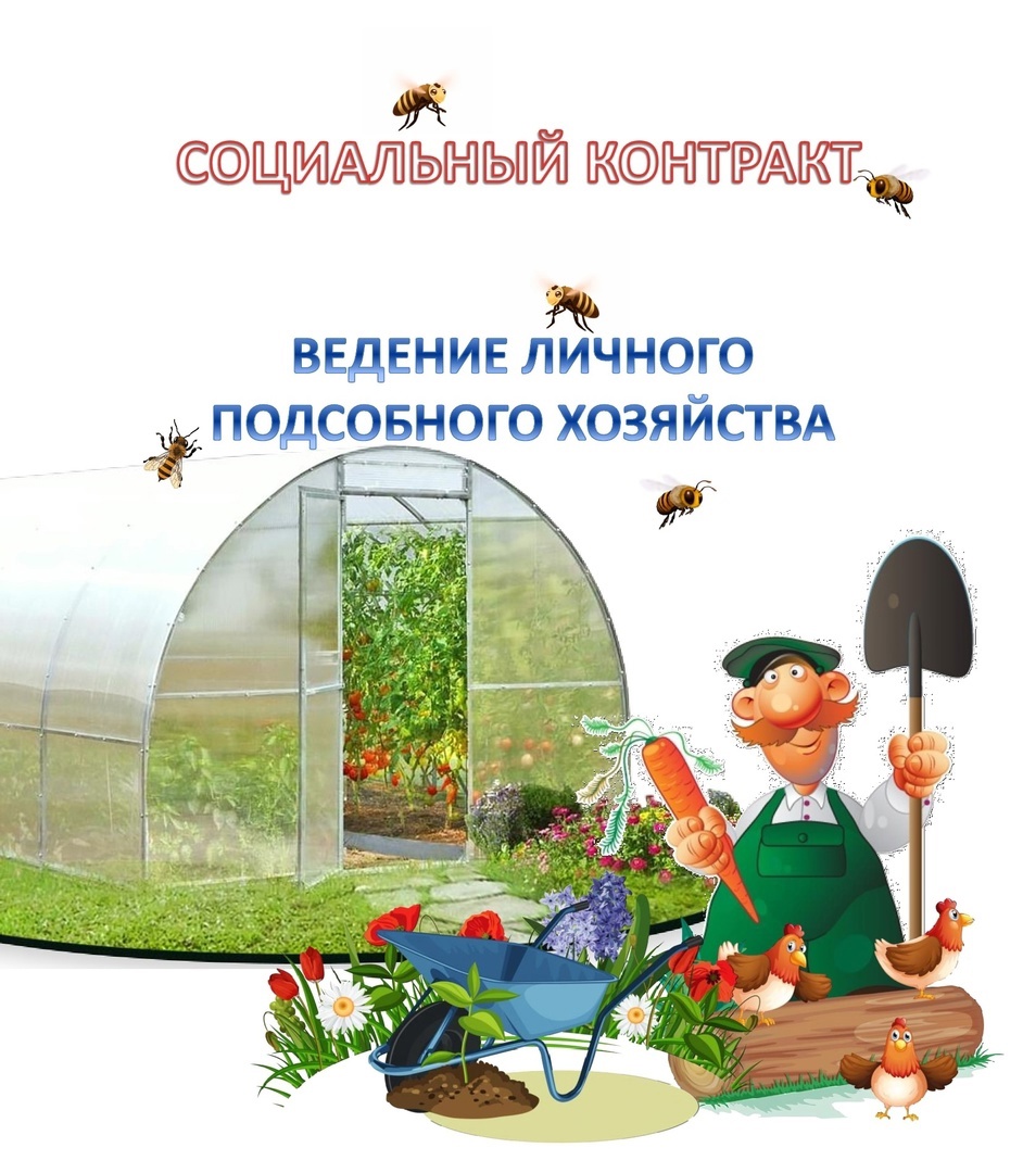 Социальный контракт на развитие личного подсобного хозяйства - до 200 000 рублей