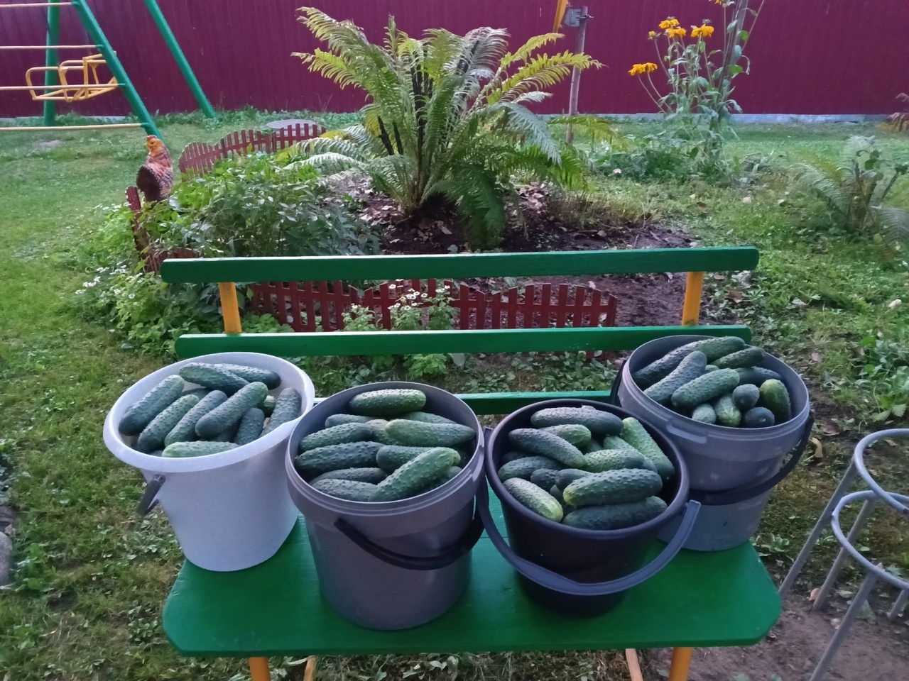 Акция "Доброе лукошко" продолжается!