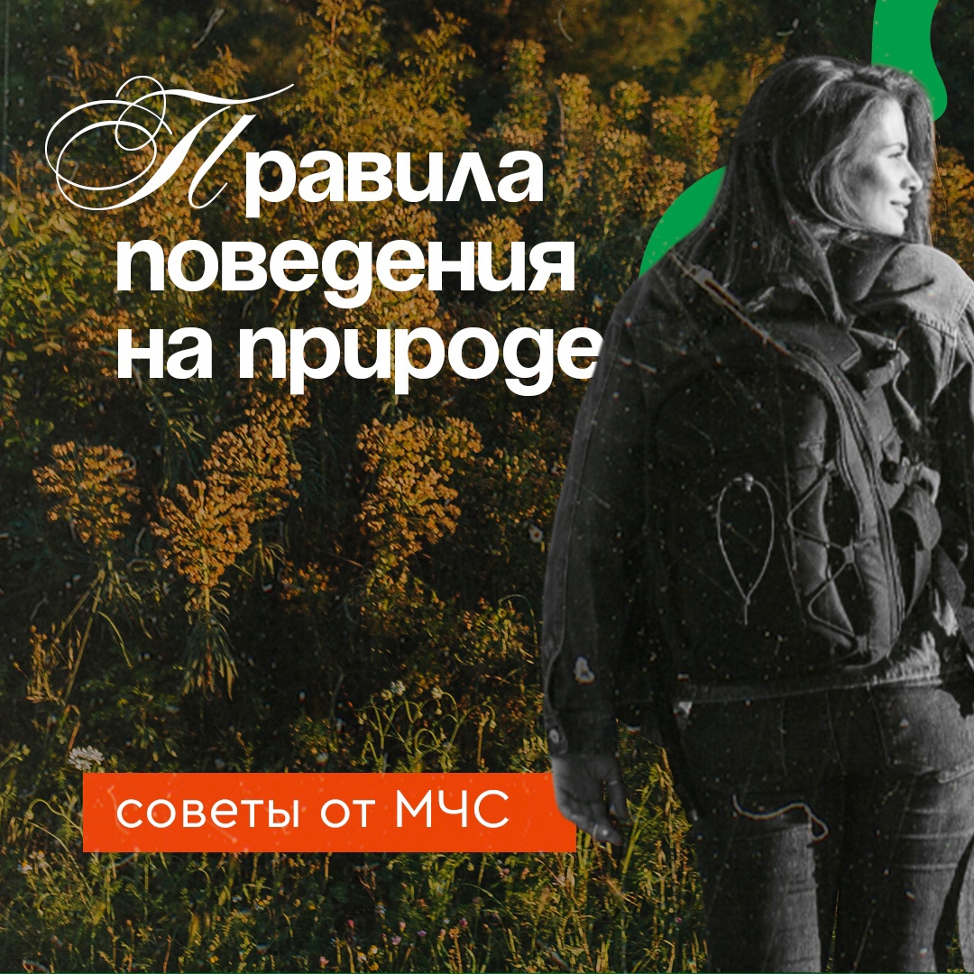 Наступит лето, и многие поспешат на природу