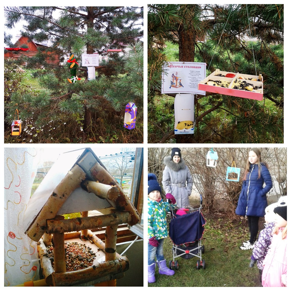 Синичкин день