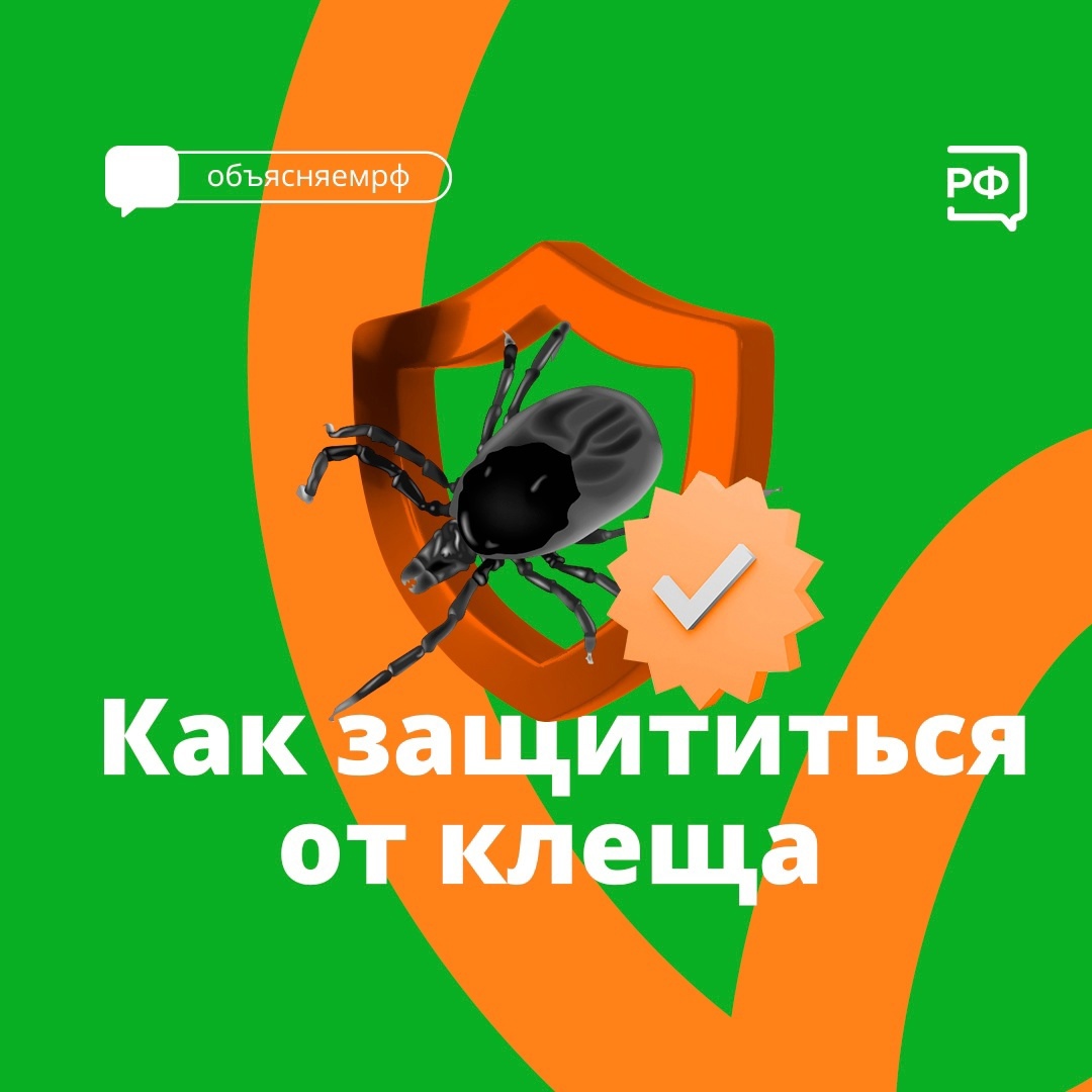 Приятный отдых на природе или дачном участке может обернуться серьезными неприятностями для здоровья