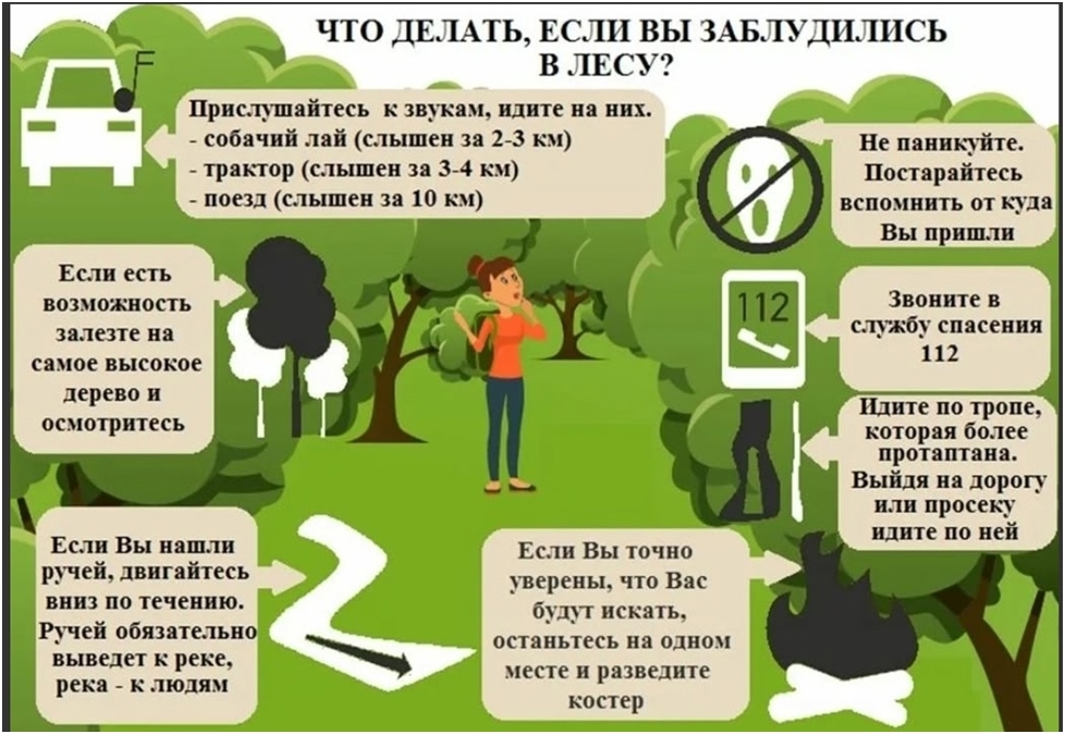 Если заблудился в лесу