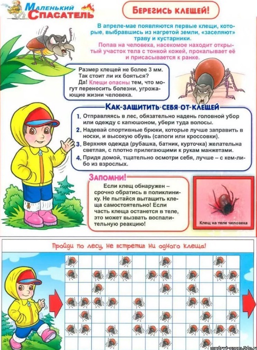 Памятка "Берегись клещей!"