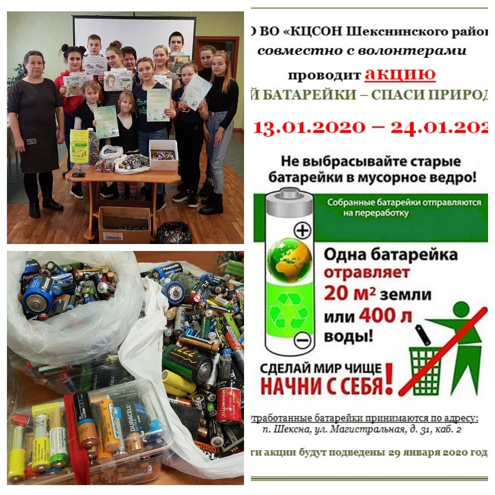Итоги экологической акции "Сдай батарейку - спаси природу!"