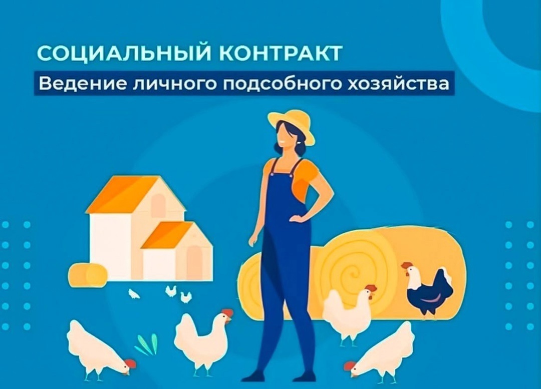 Сегодня социальный контракт — это работающий инструмент преодоления кризисной ситуации. При его помощи человек сам повышает уровень своей жизни и членов своей семьи.